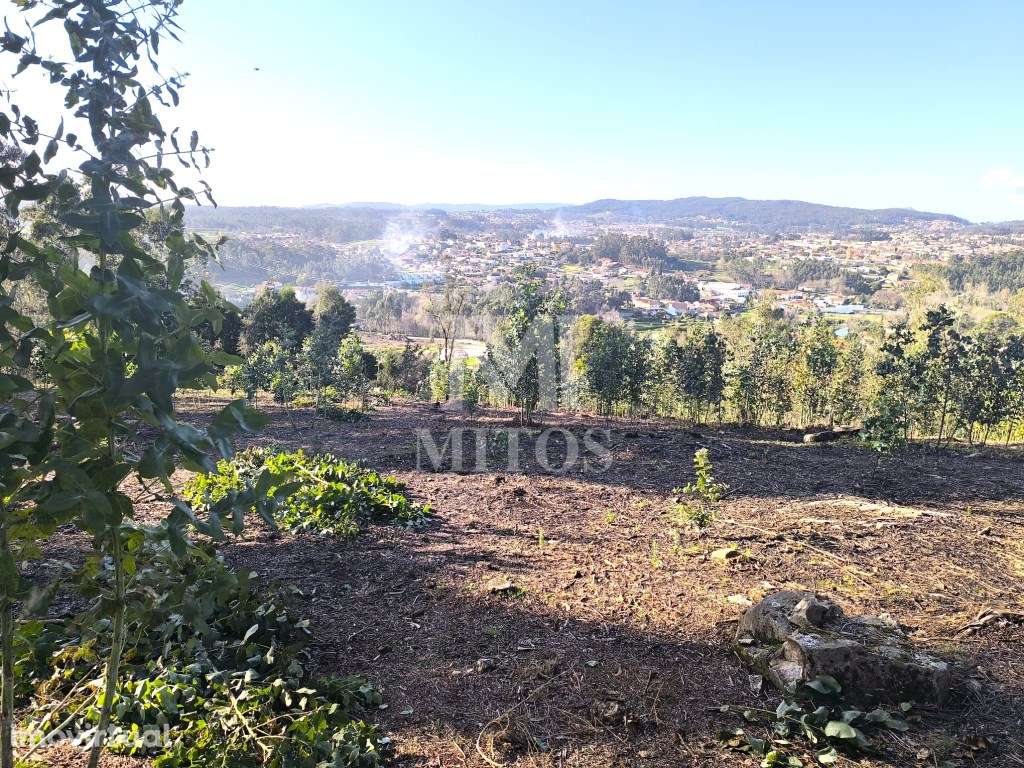 Terreno de construção - Grande imagem: 2/11