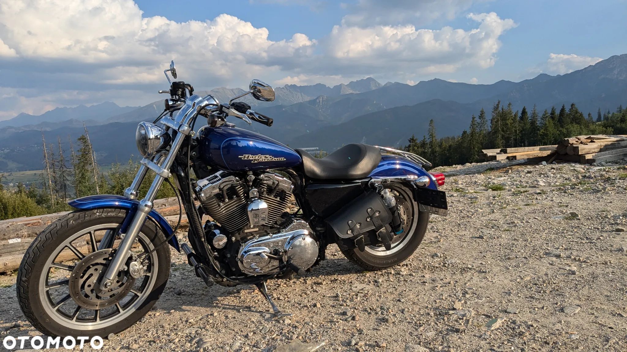 Harley-Davidson Sportster Custom 1200C - 1