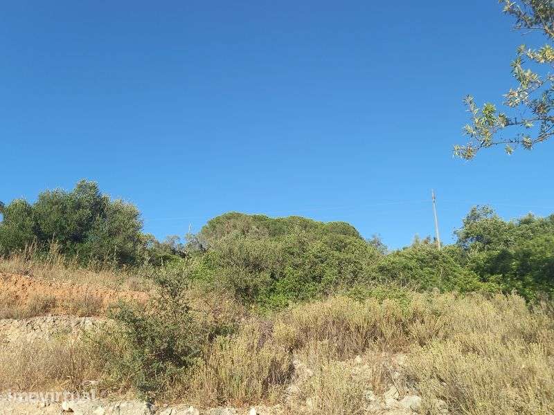 Terreno Urbano em Paderne/Albufeira - Grande imagem: 2/12