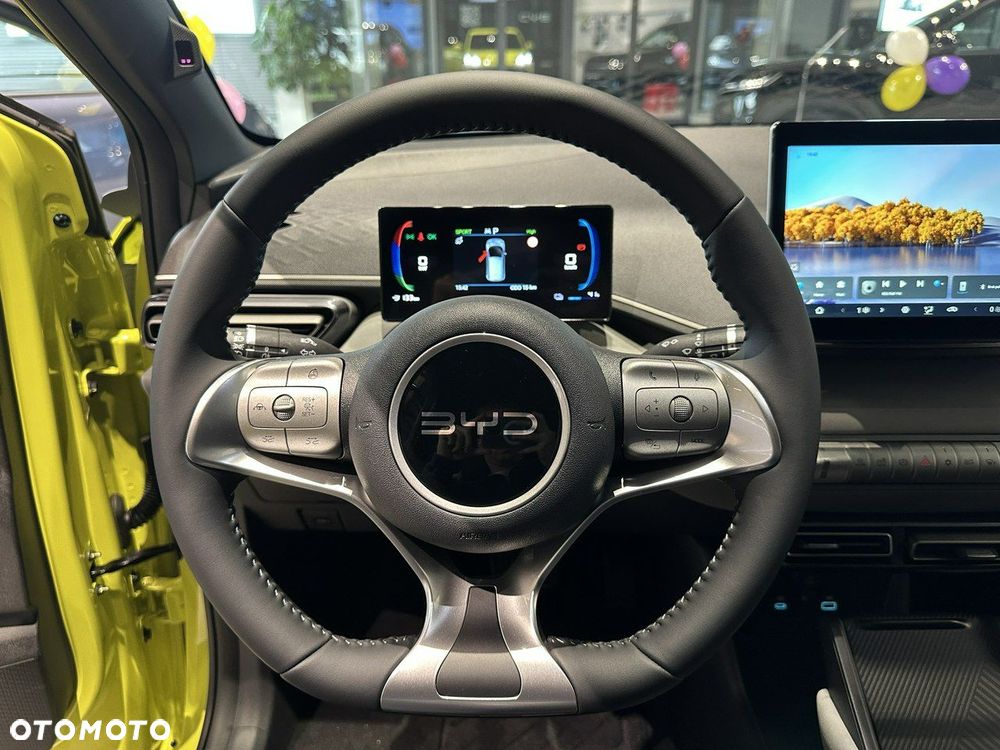 BYD Dolphin Surf - 14