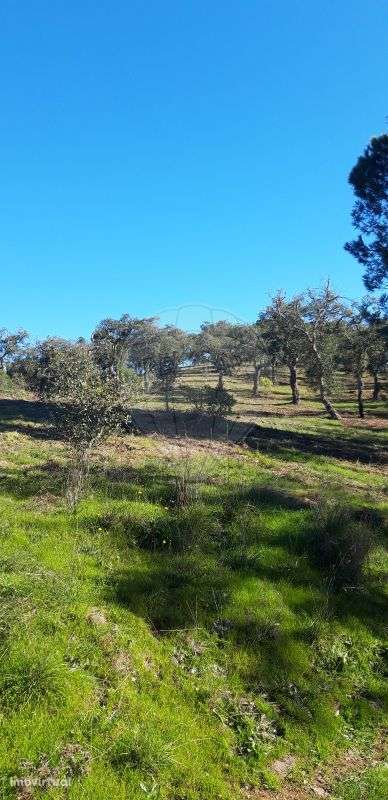 Terreno  para venda - Grande imagem: 4/17