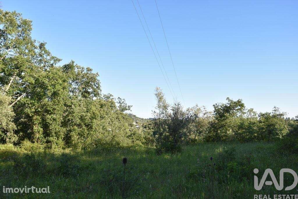 Terreno em Areias e Pias de 1440,00 m2 - Grande imagem: 2/29