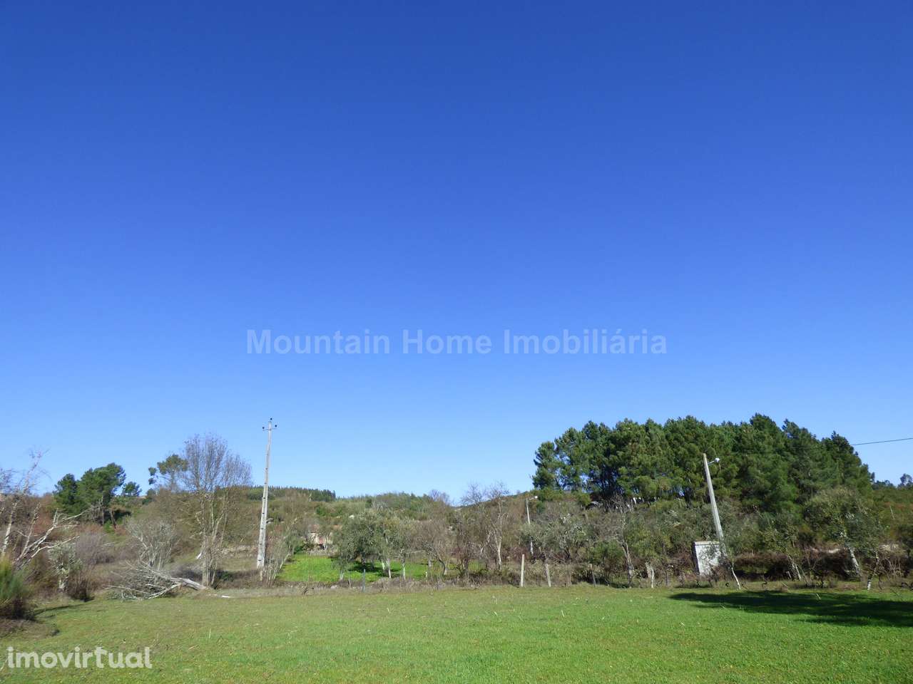 Terreno  Venda em Abrunhosa-a-Velha,Mangualde - Grande imagem: 5/6