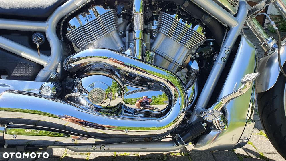 Harley-Davidson V-Rod Street Rod - 9