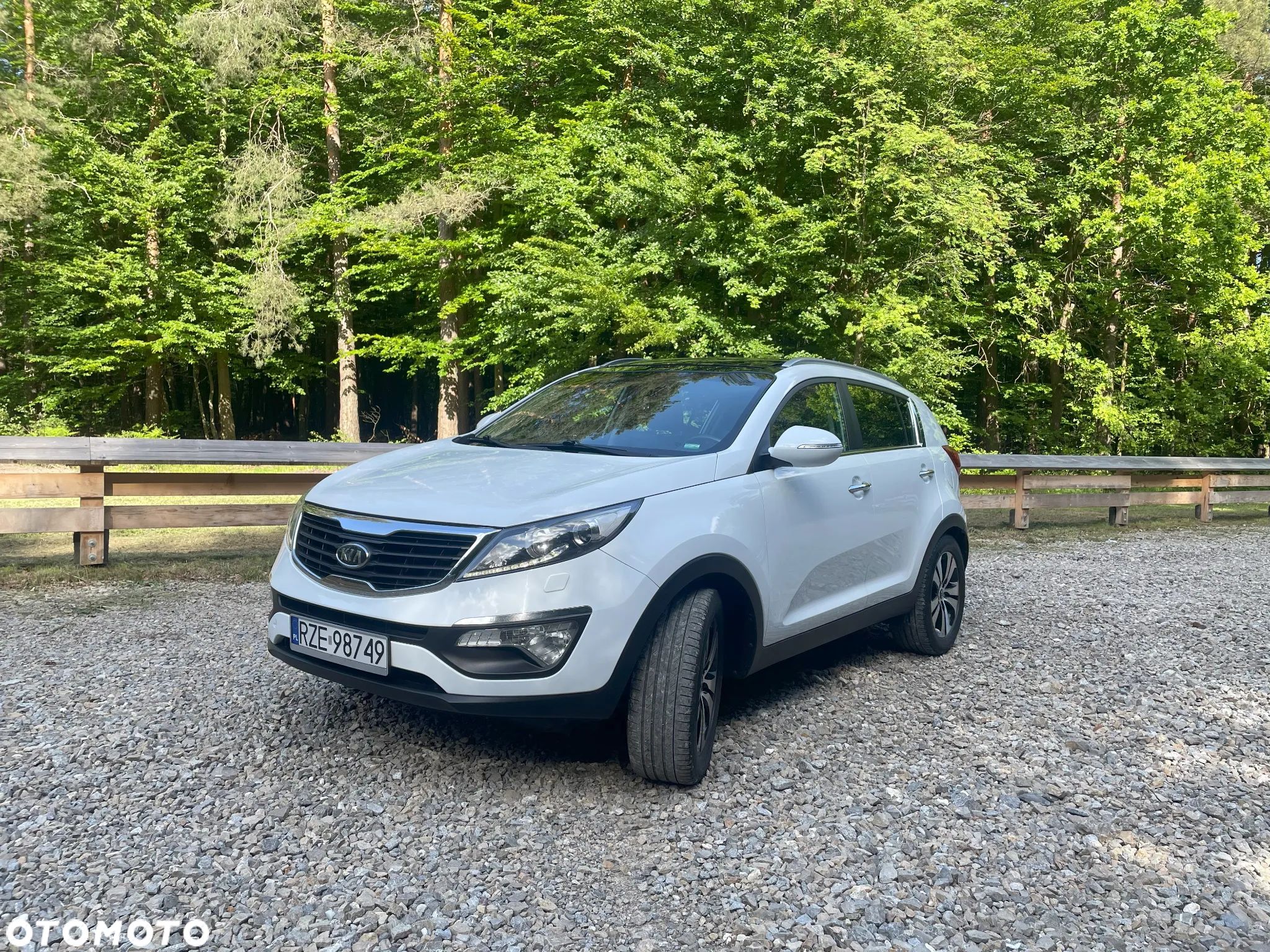 Kia Sportage - 1