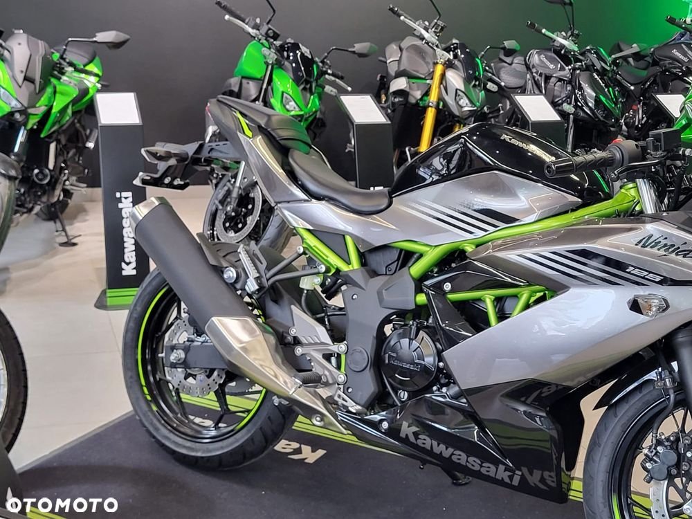 Kawasaki Ninja - 3