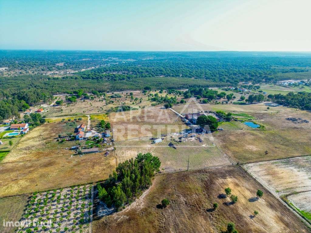 Terreno de 20 mil m2 (2ha) nas Fazendas da Arriça (Coruche-Canha-Sa... - Grande imagem: 5/25