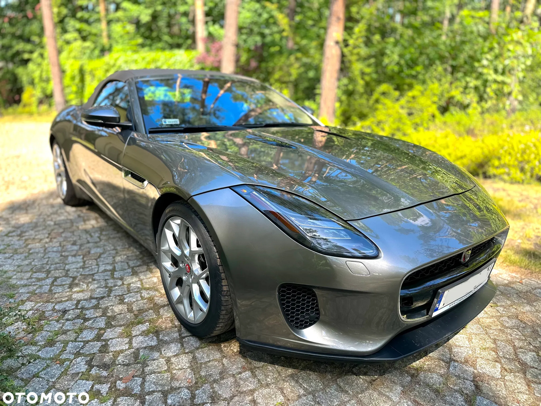 Jaguar F-Type 2.0 Turbo Chequered Flag - 2