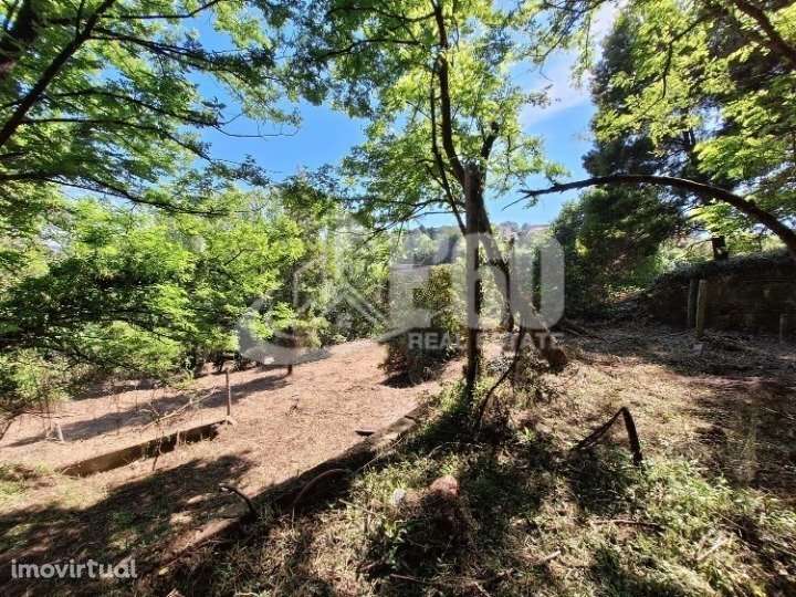 QUINTA COM RUINA OLIVEIRA DO DOURO - Grande imagem: 2/8