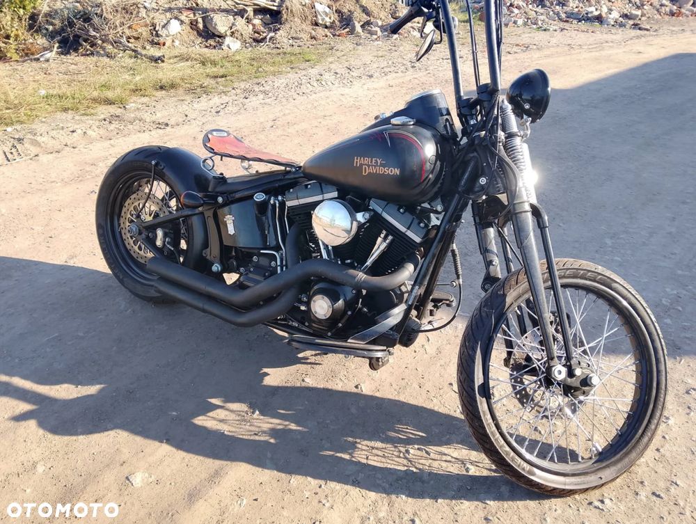 Harley-Davidson Softail Cross Bones - 1