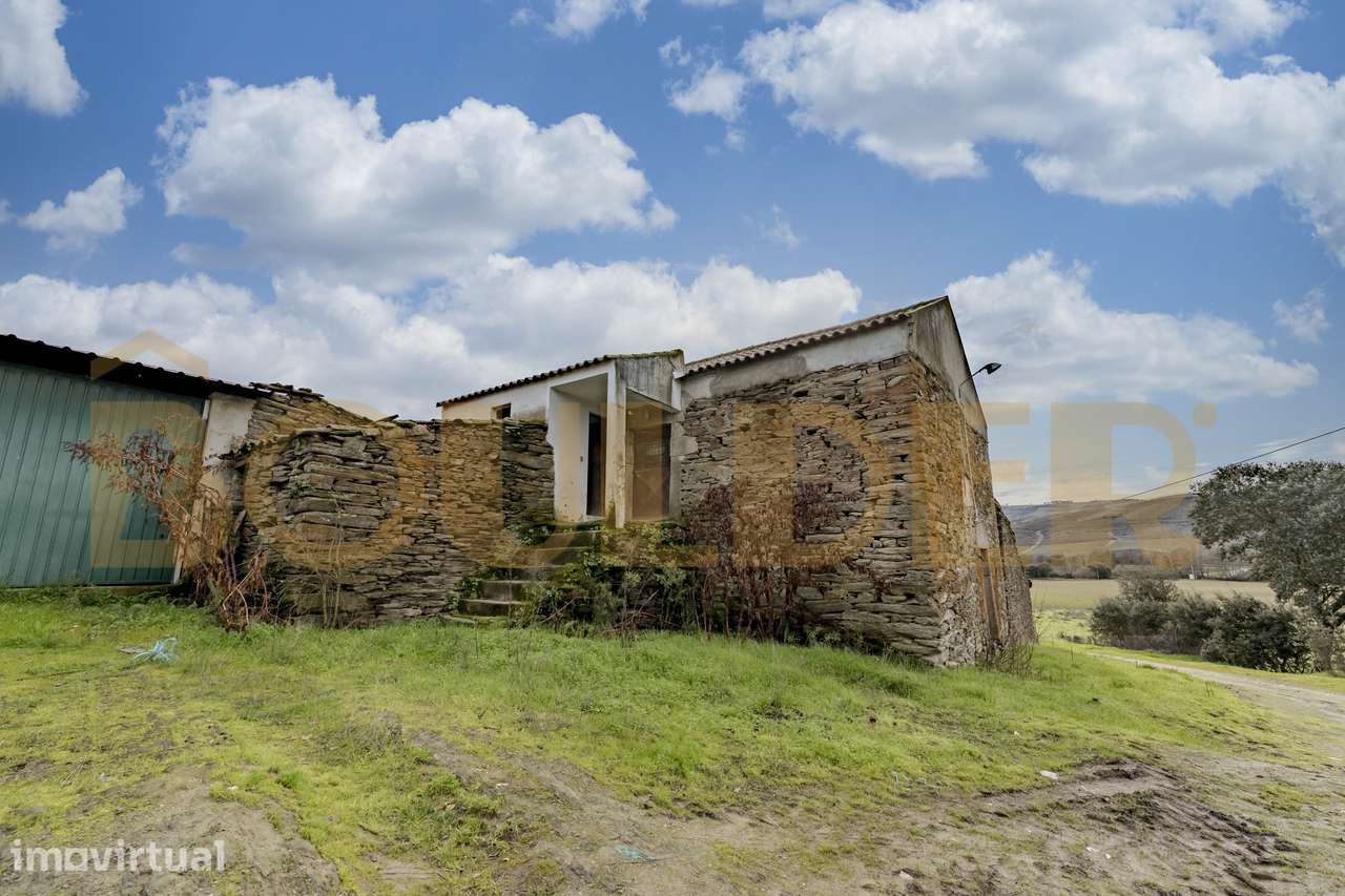 Quinta do Arieiro - Cedovim | Vila Nova de Foz Côa | Douro Superior - Grande imagem: 5/52