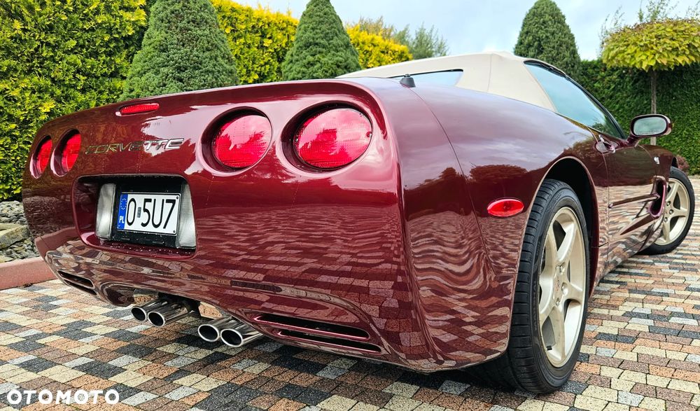 Chevrolet Corvette - 33