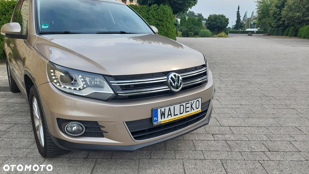 Volkswagen Tiguan - 14