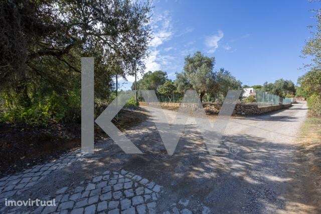 Terreno Rústico com 8 650m2 no Poço Longo, Quelfes - Grande imagem: 4/23