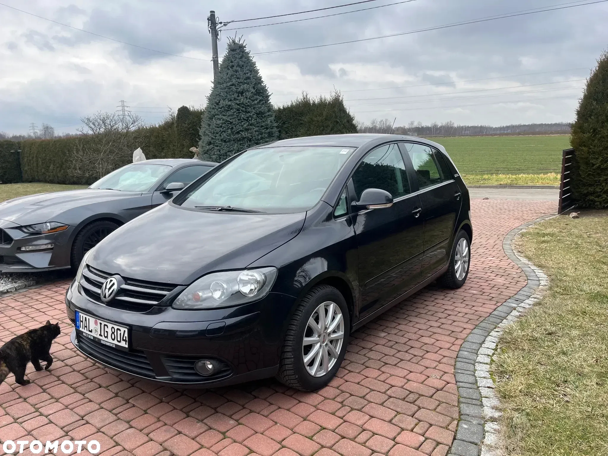Volkswagen Golf Plus 1.6 Comfortline - 3