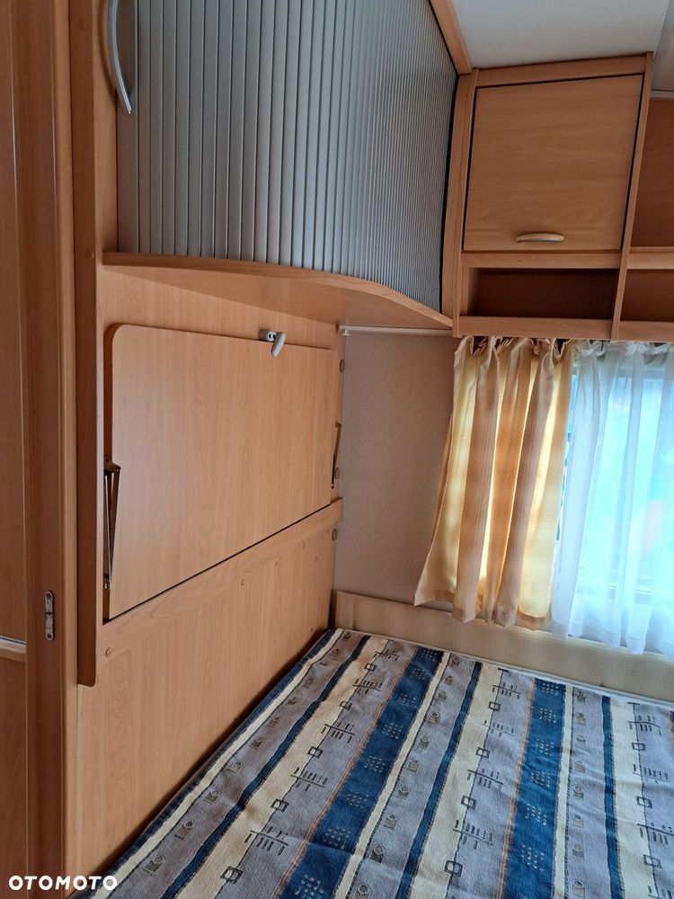 Wilk SPORT 490 - 11