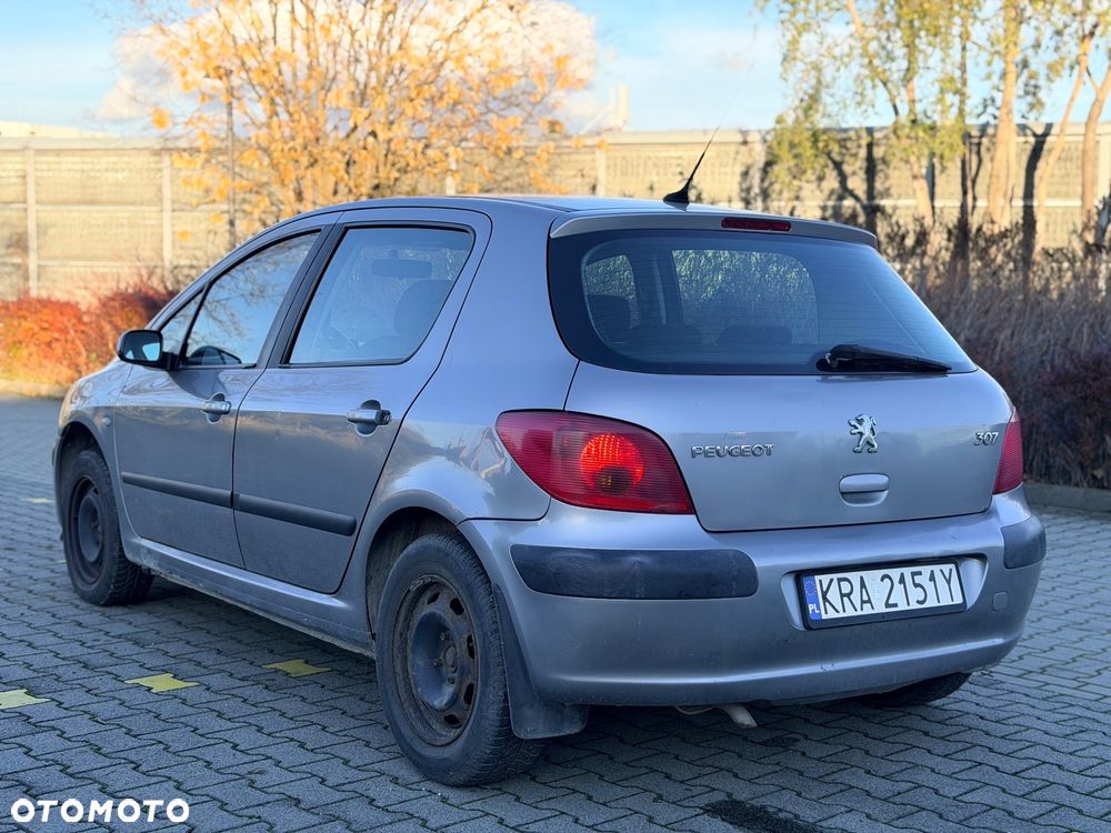 Peugeot 307 1.6 Premium - 6
