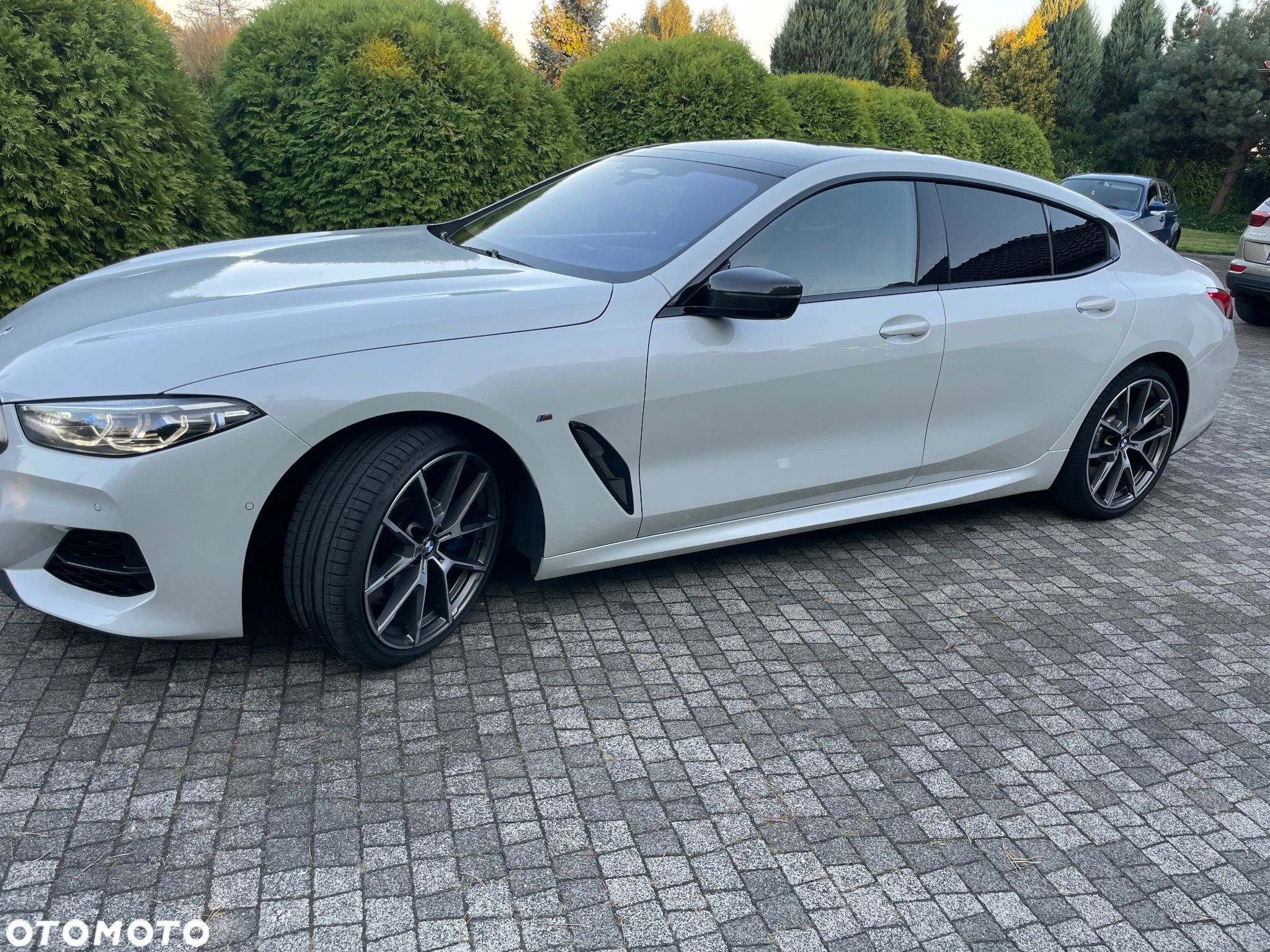 BMW Seria 8 M850i xDrive - 1
