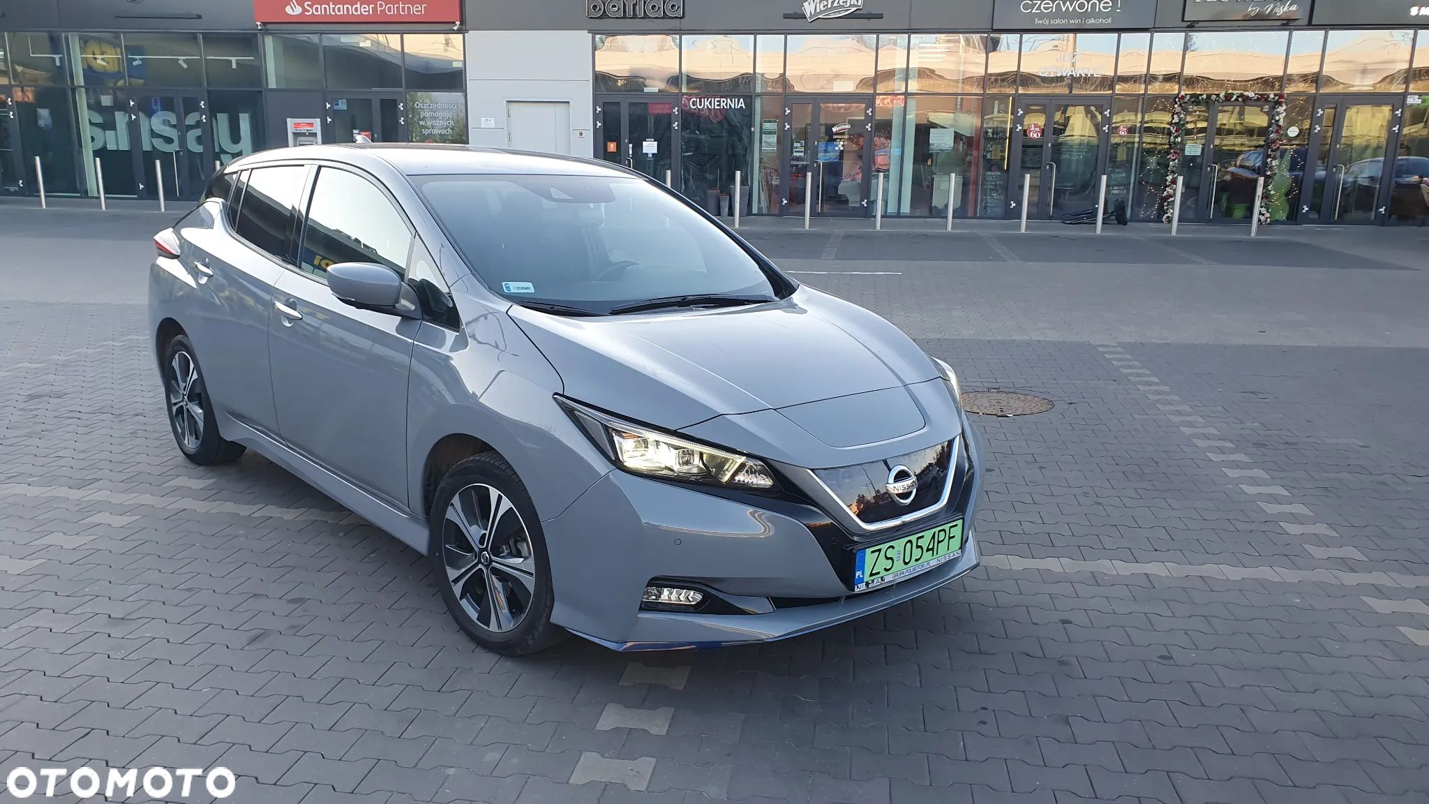 Nissan Leaf - 1