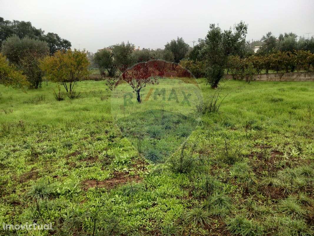 Terreno  para venda - Grande imagem: 2/3