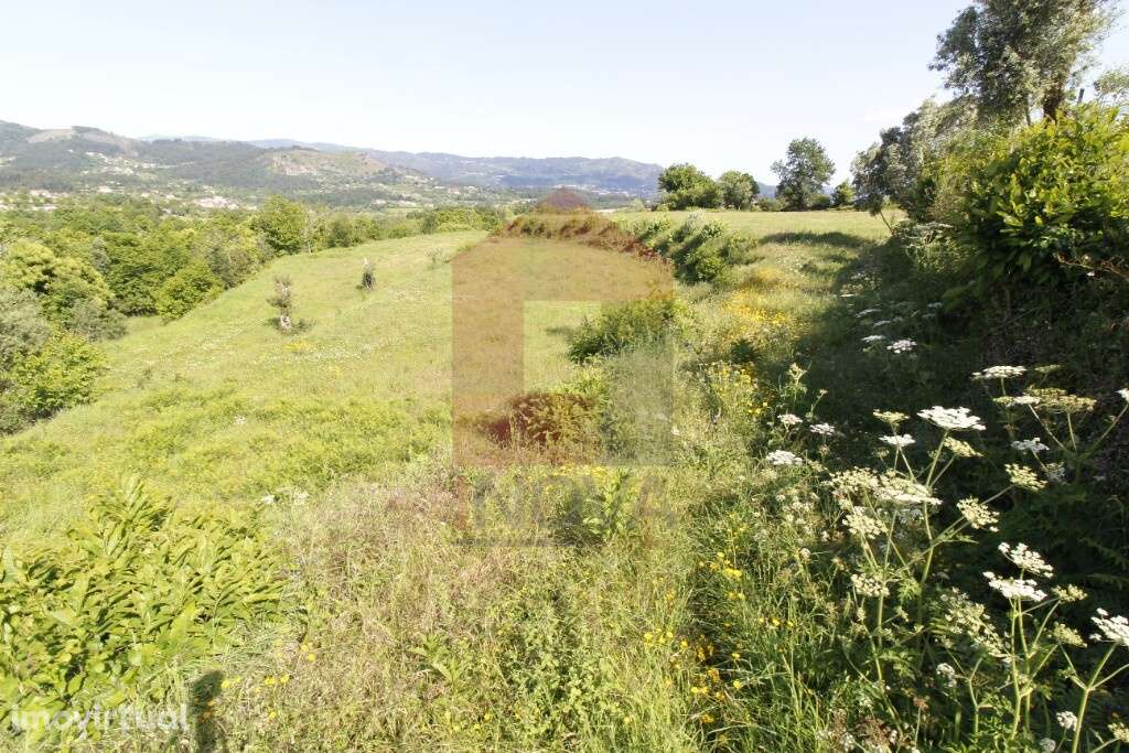 Terreno agrícola, Prado São Miguel - Grande imagem: 3/11