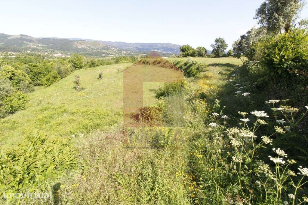 Terreno agrícola, Prado São Miguel - Grande imagem: 3/11