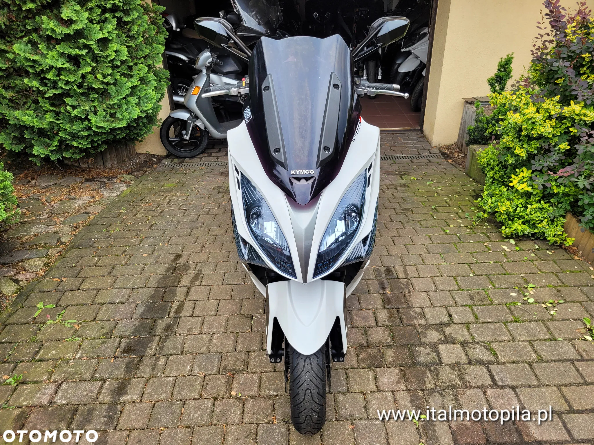 Kymco Xciting - 2