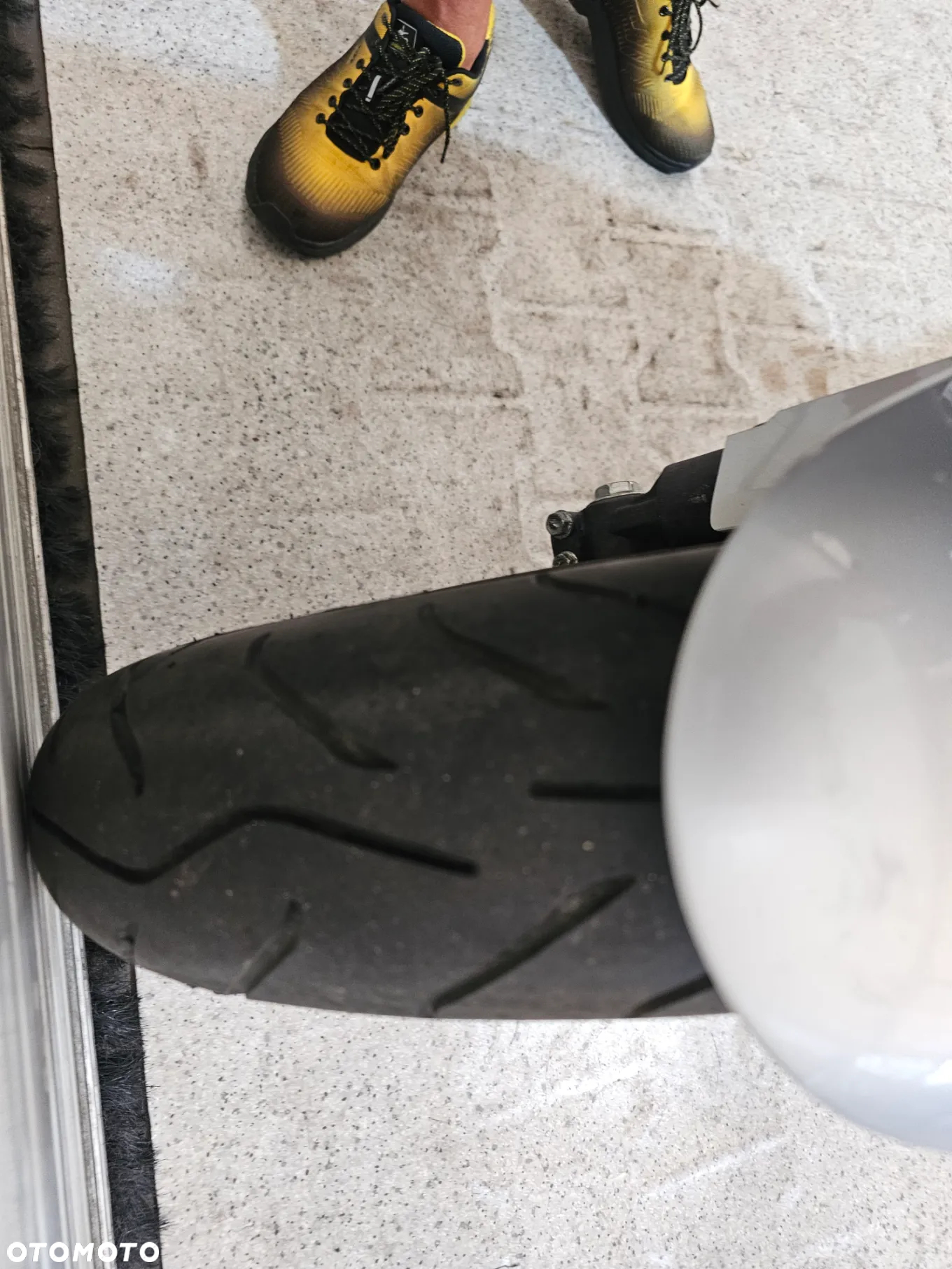 Honda CBR - 31