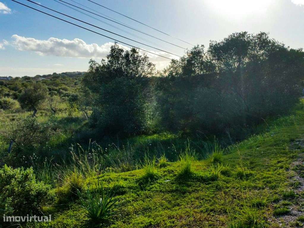 Terreno Rústico com 5.480 m² para venda em Silves - Grande imagem: 3/12