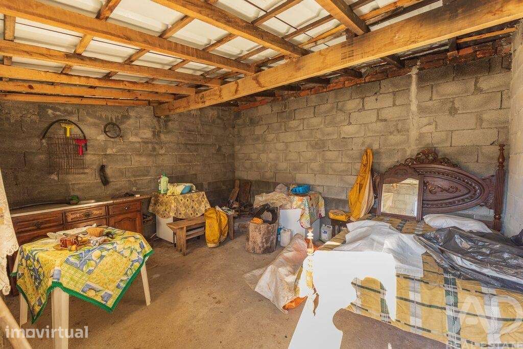 Terreno Agrícola em Sandomil - Grande imagem: 2/8