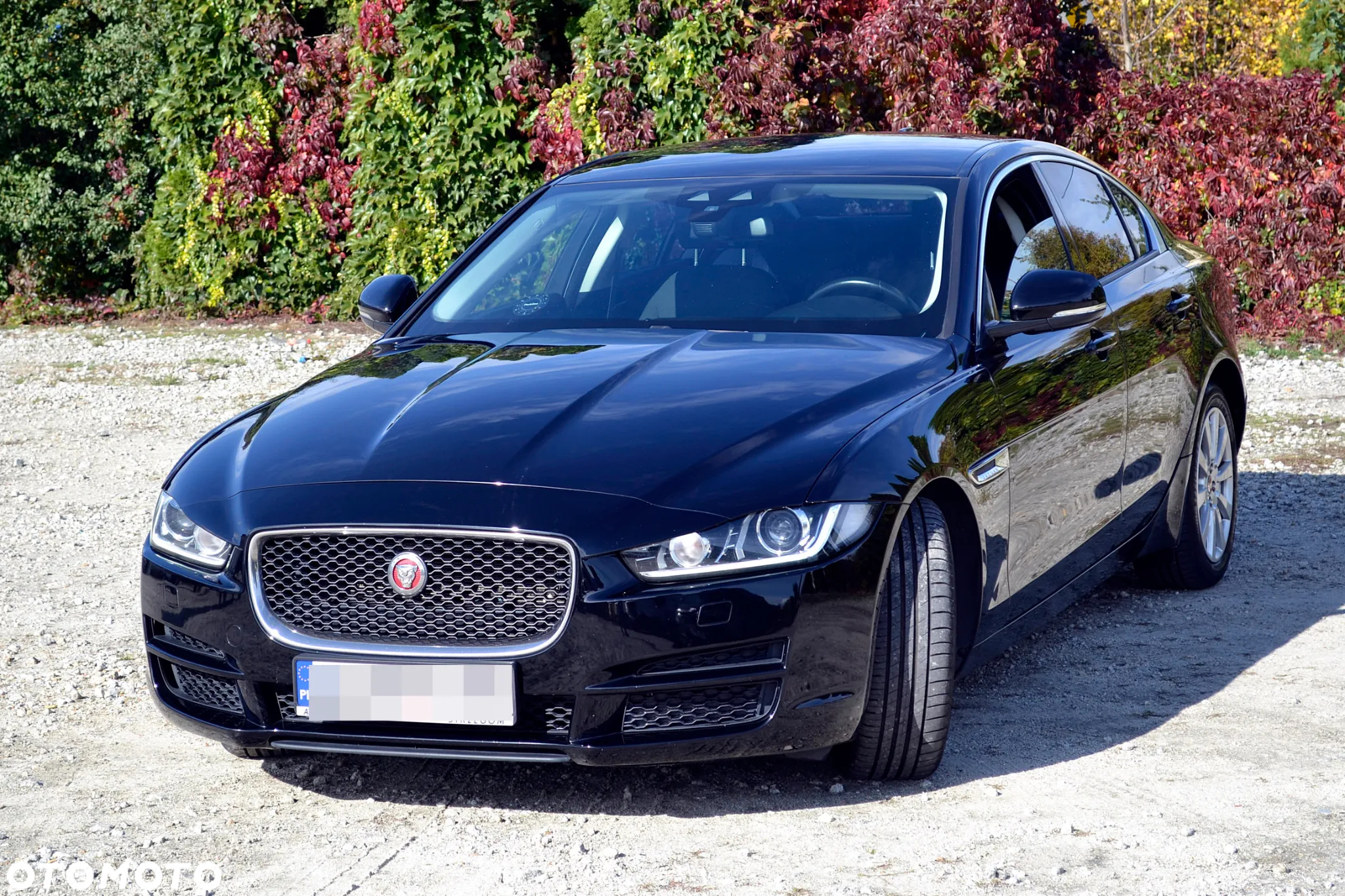 Jaguar XE - 5