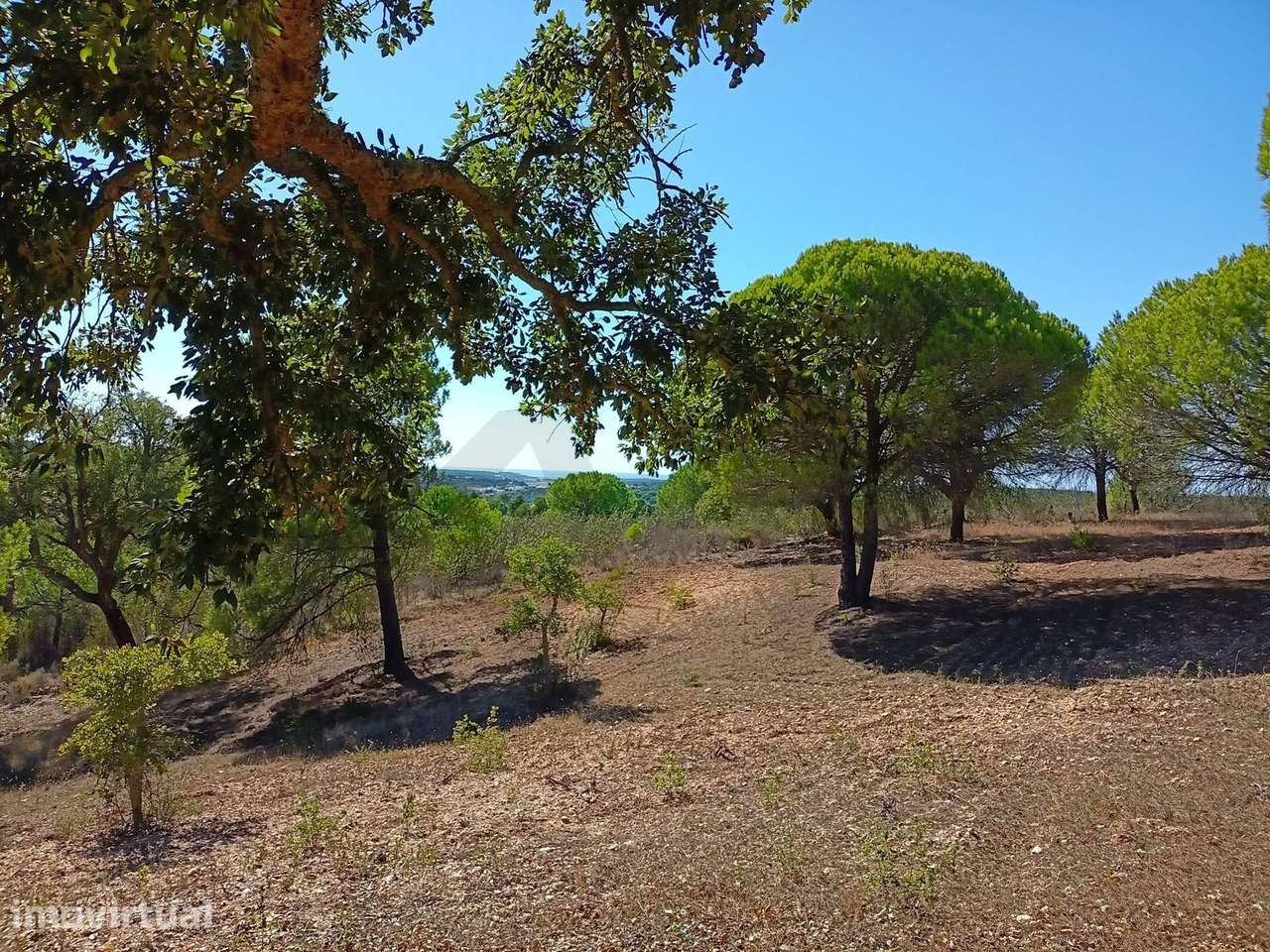 Excecional Quinta de 4 Hectares com Vista Mar – Melides, Grândola - Grande imagem: 3/24