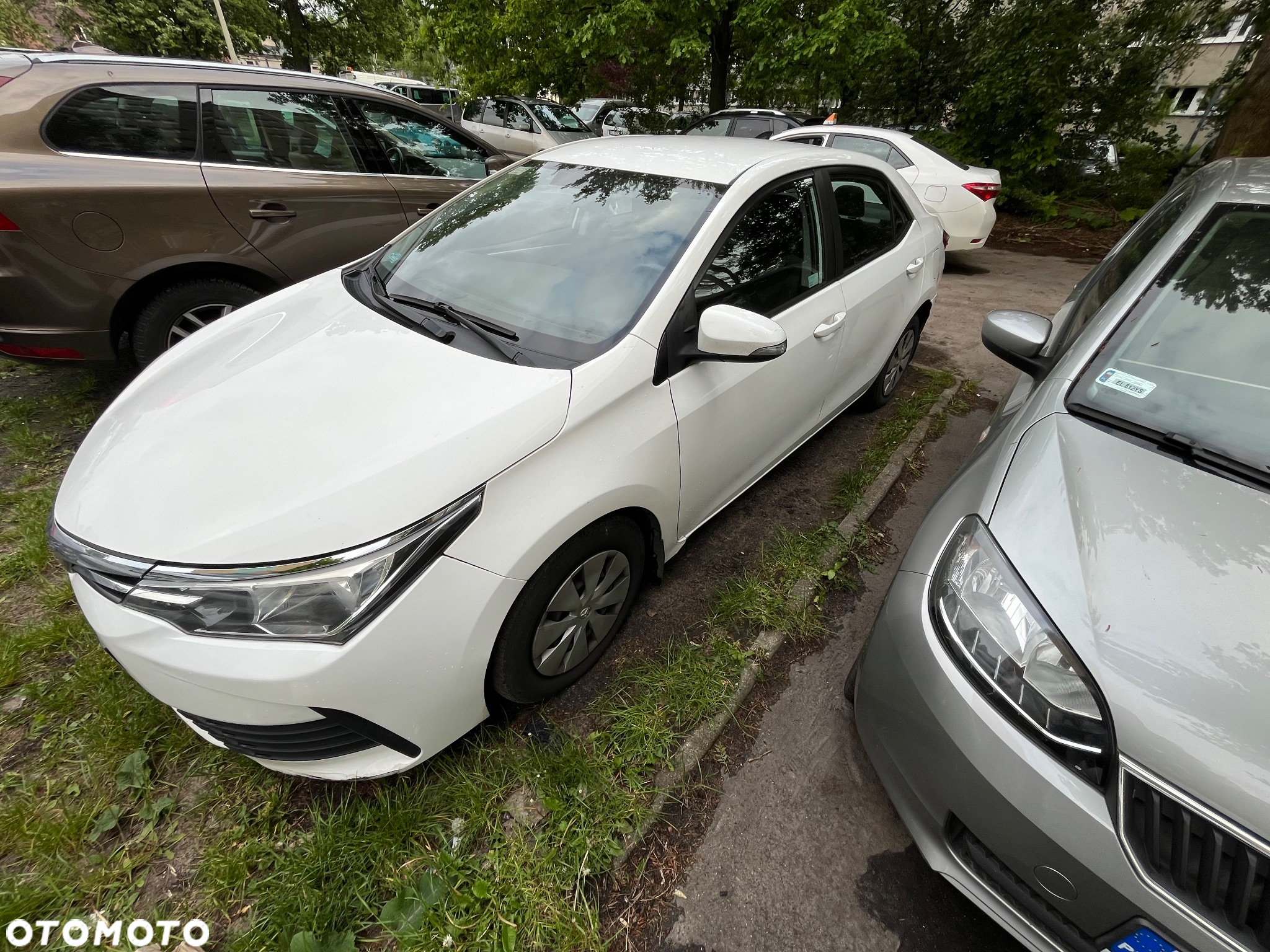 Toyota Corolla - 6