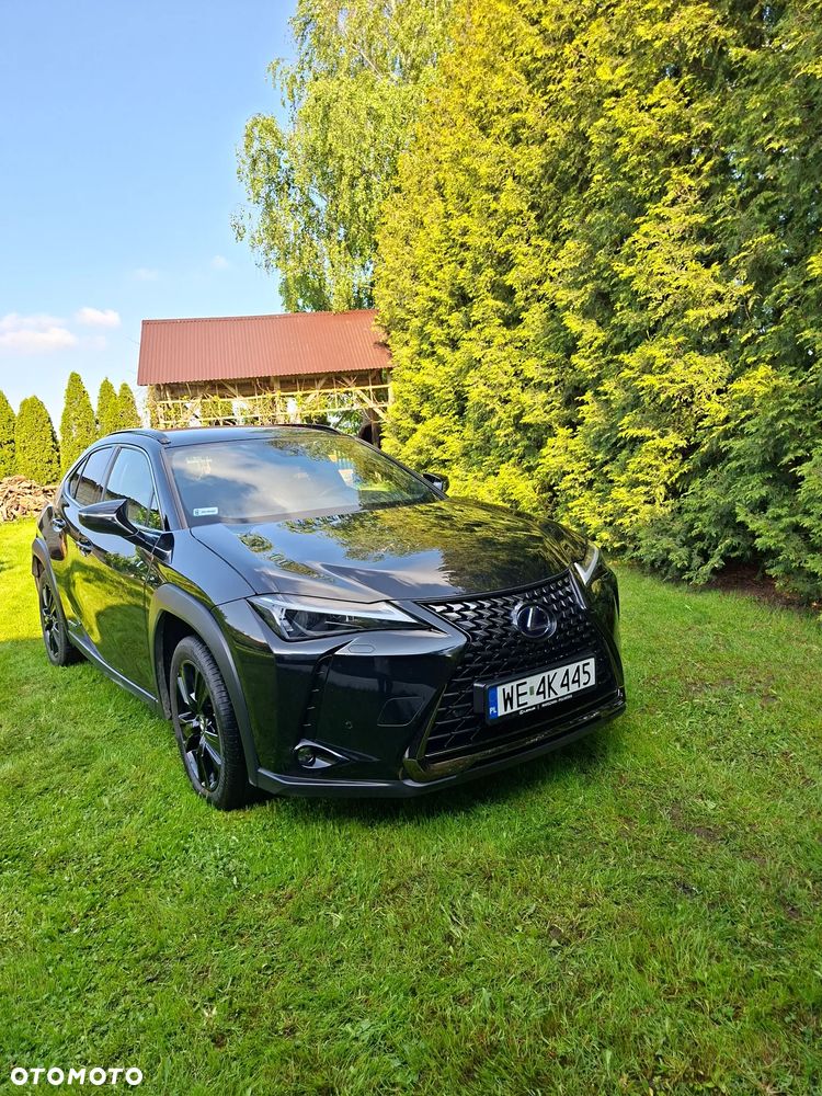 Lexus UX - 7