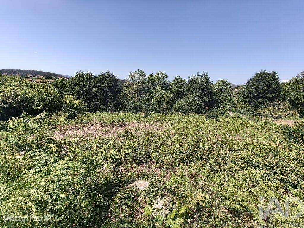 Terreno Agrícola em Infesta - Grande imagem: 5/28