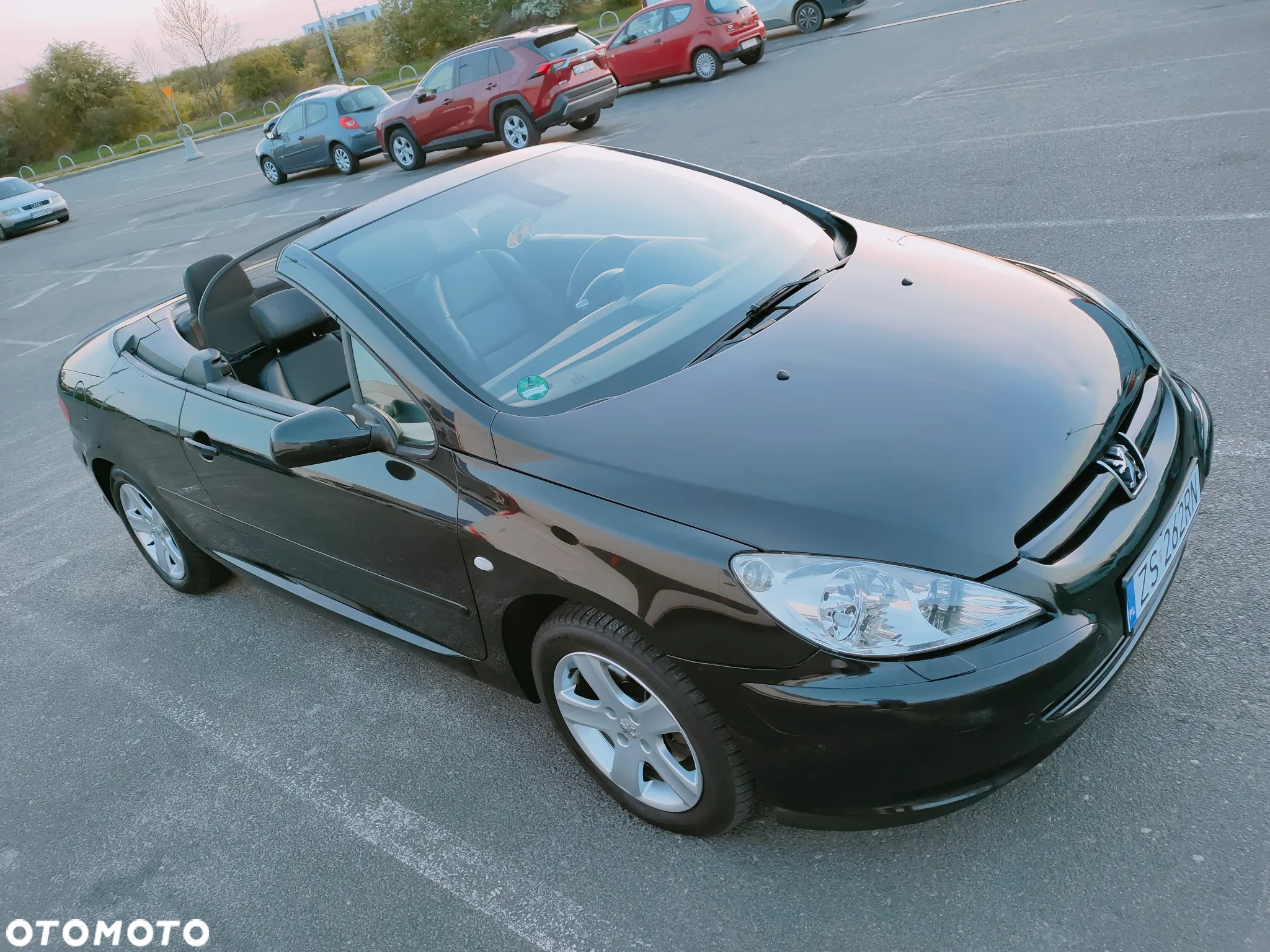Peugeot 307 CC - 6