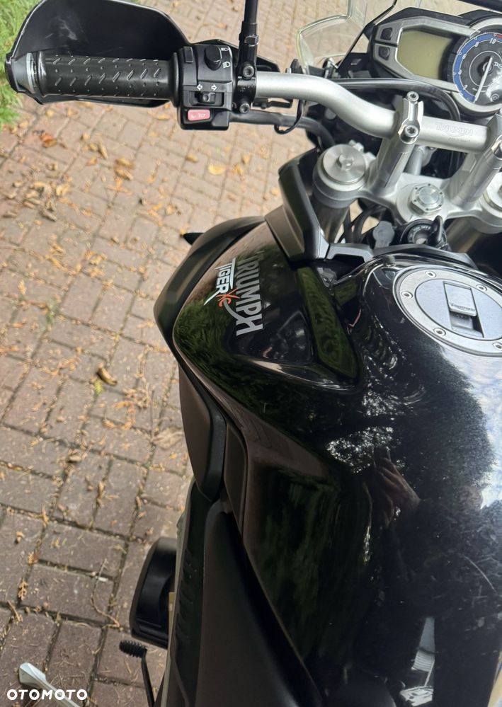 Triumph Tiger - 21