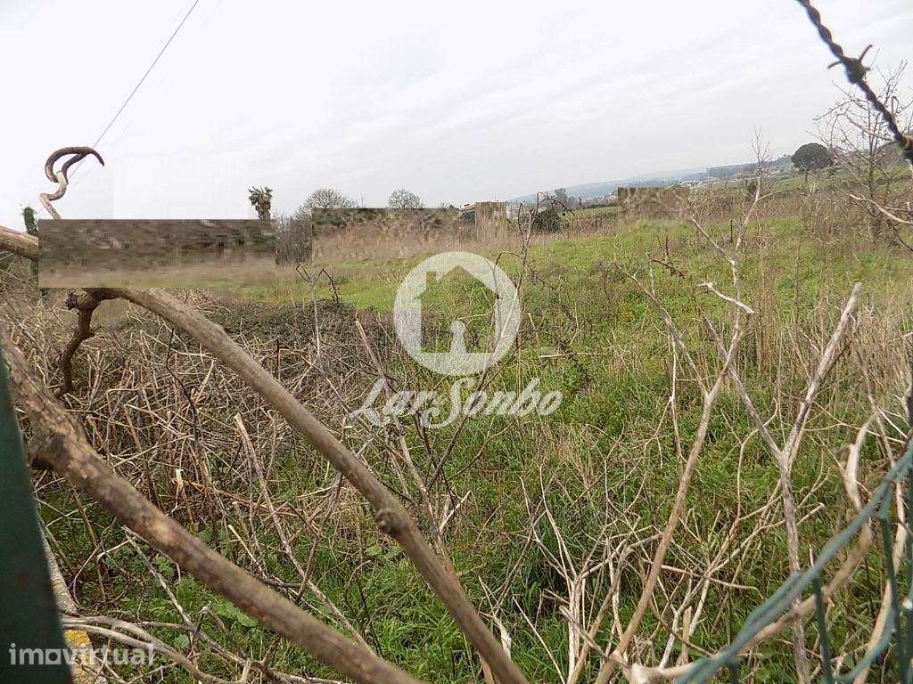 Terreno para construção em Balazar
