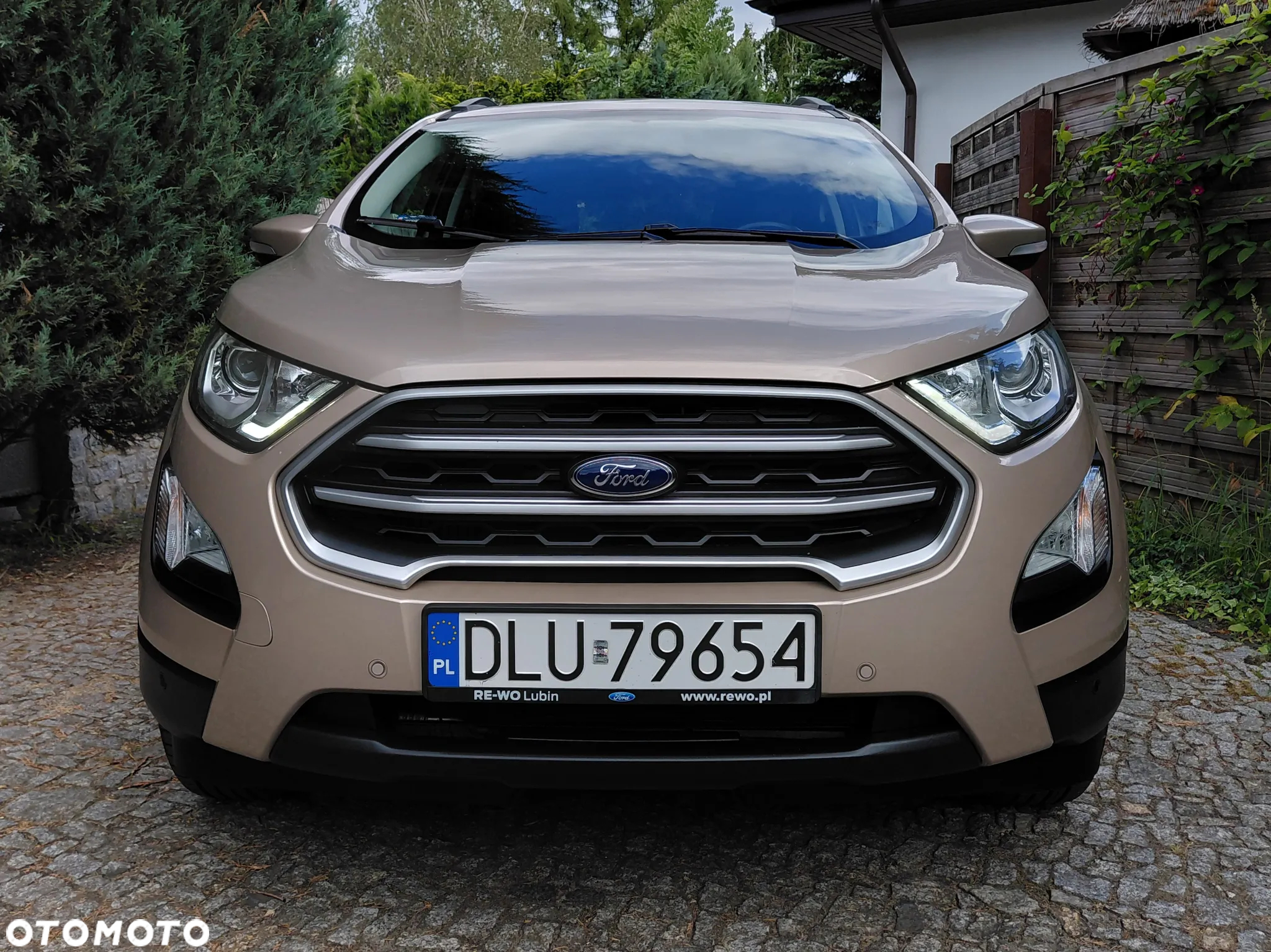 Ford EcoSport 1.0 EcoBoost GPF Titanium ASS - 3