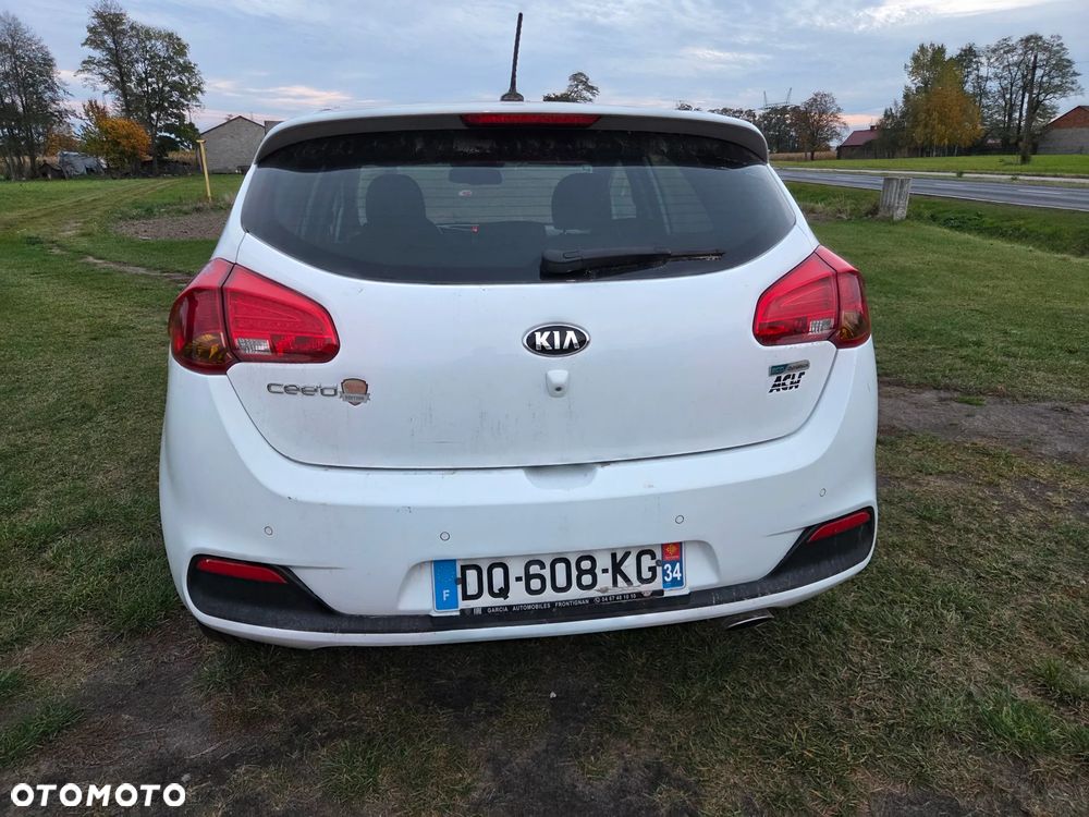 Kia Ceed 1.6 CRDi 128 Dream Team Edition - 19