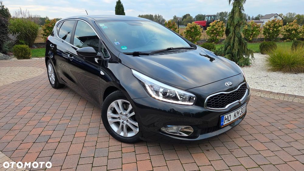 Kia Ceed 1.6 CRDi 128 Dream Team Edition - 1