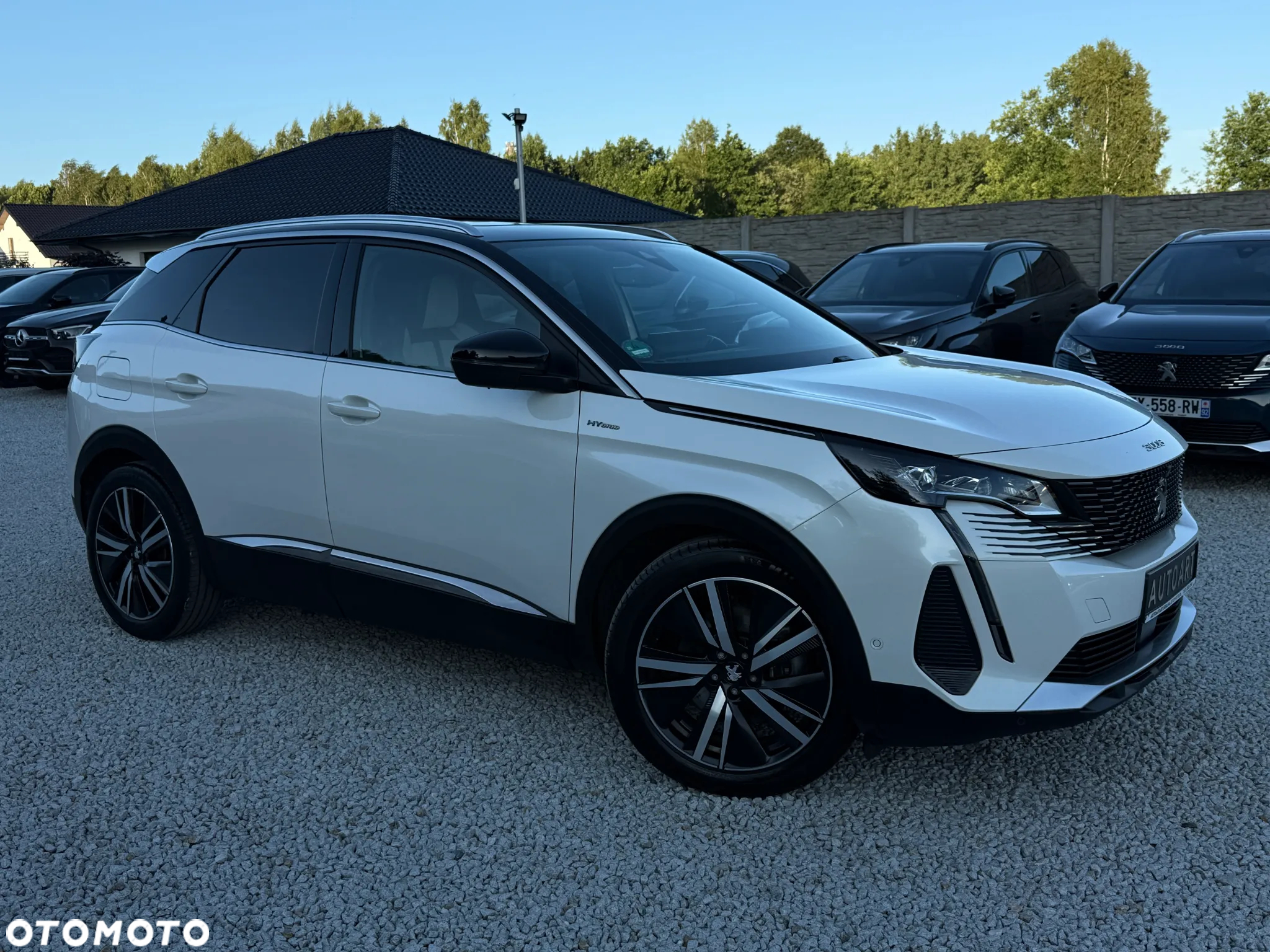 Peugeot 3008 Plug-In Hybrid 225 e-EAT8 GT - 20