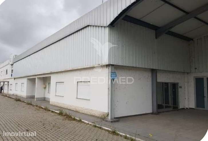 Edifício Industrial à Venda – Zona Industrial de Muge - Grande imagem: 2/24