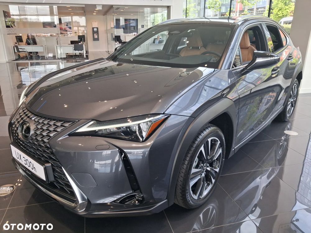 Lexus UX 300h Business - 10