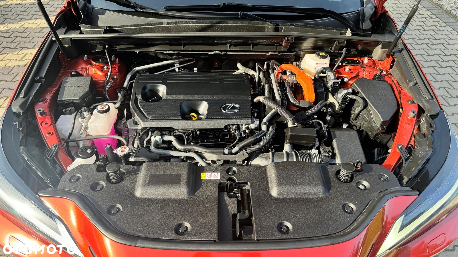 Lexus NX - 24
