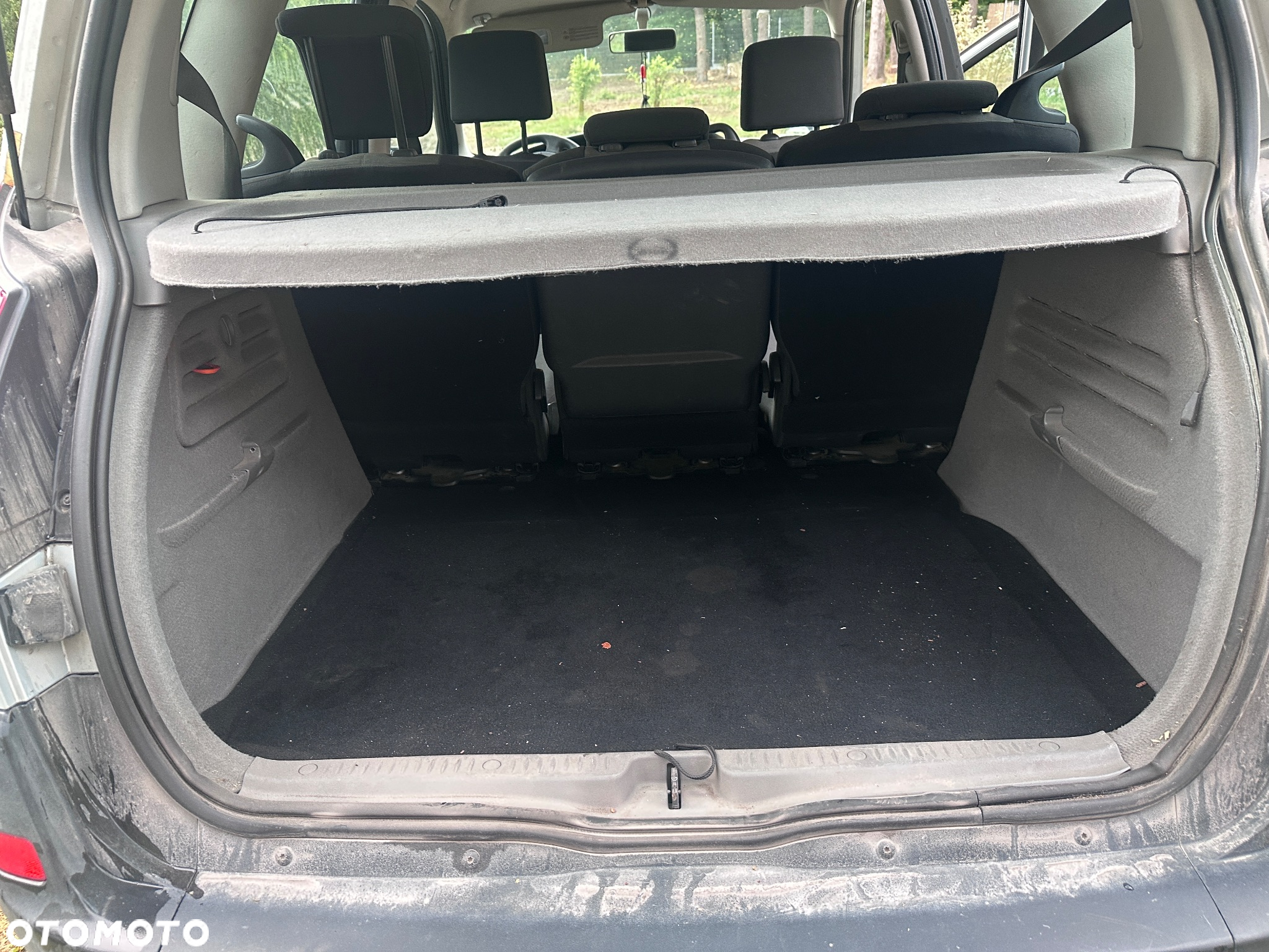 Renault Scenic - 7