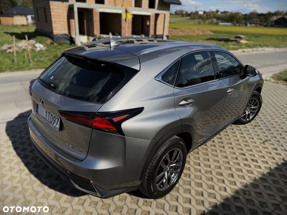 Lexus NX 300h Business Edition AWD - 15