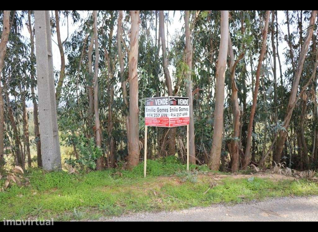 Terreno com possibilidade de construção - Grande imagem: 5/11