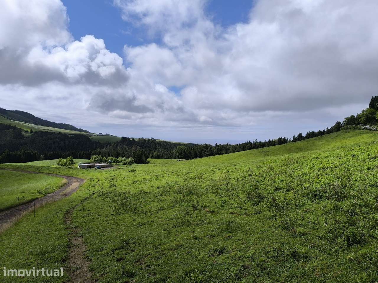 Terreno Rústico à Venda – 54,6032 Hectares Faial da Terra - Grande imagem: 4/11