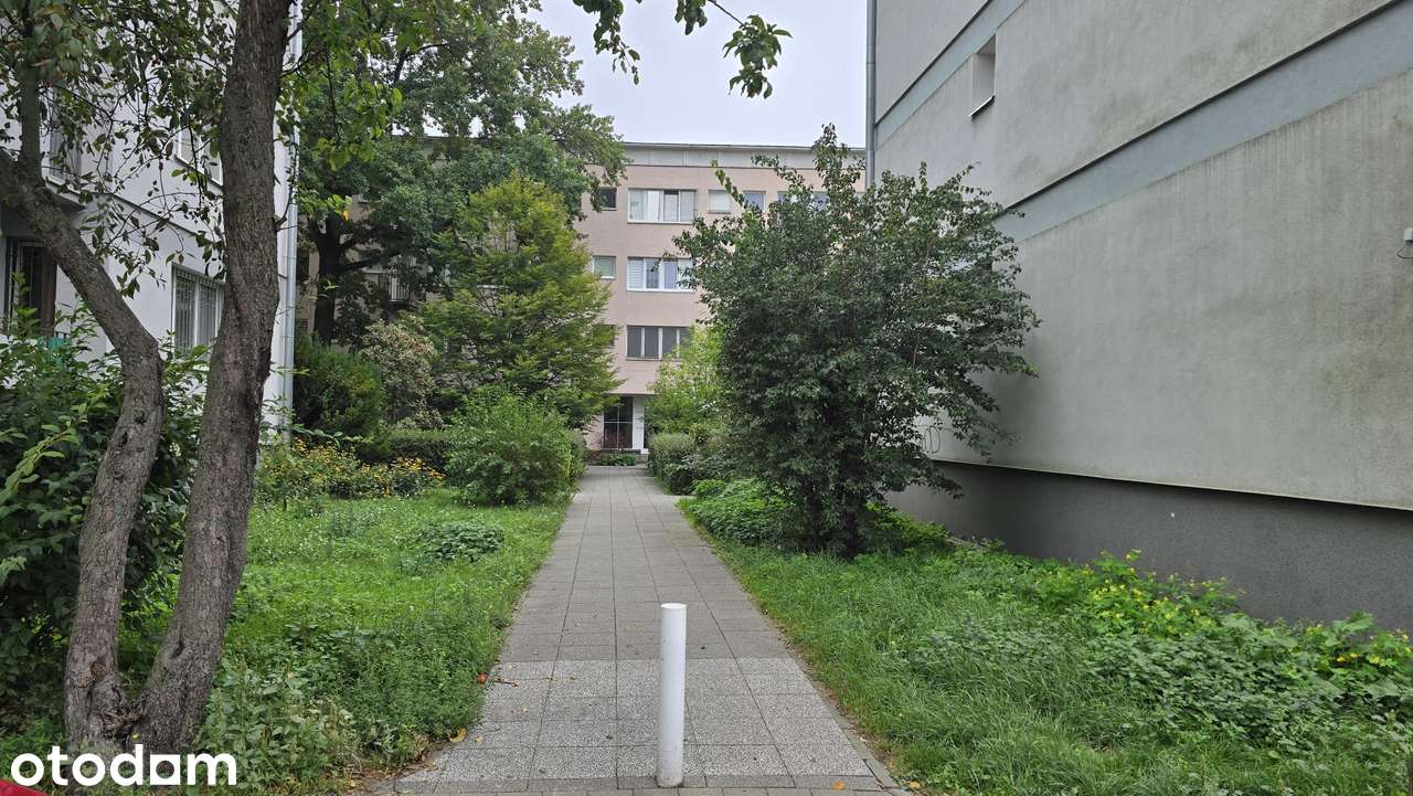 2 osobne pokoje | 38 m² | 3500 zł z czynszem